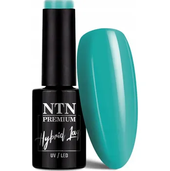 Lak na nehty NTN Premium Hybridní Lak 5 ml - Kolekce Design Your Style Č. 43
