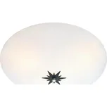 Stropní světlo Markslöjd Rose, ø 43 cm ID_1413345