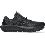Asics Gel Trabuco 13 GTX Velikost: EU 44,5 black/graphite grey