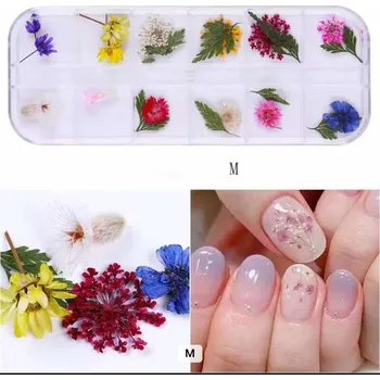 Sušené květiny, zdobení nehtů M