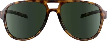 Brýle sluneční TSG Cruise Sunglasses Barva: Brown
