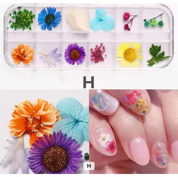 Sušené květiny, zdobení nehtů H