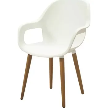 ASKO Zahradní křeslo ORLANDO plast/akácie