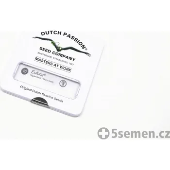 Pěstitelství Euforia® Regular | Dutch Passion® (balení 10)