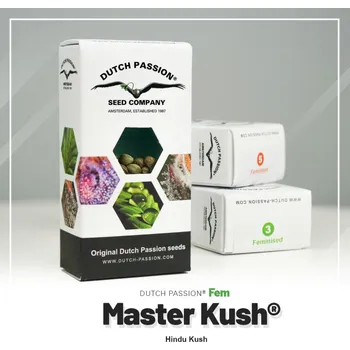 Lak na dřevo Master Kush® fem. (balení 5)