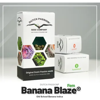 Semeno Banana Blaze® fem. (balení 3)