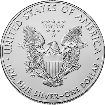 United States Mint American Eagle stříbrná mince 1oz 2010