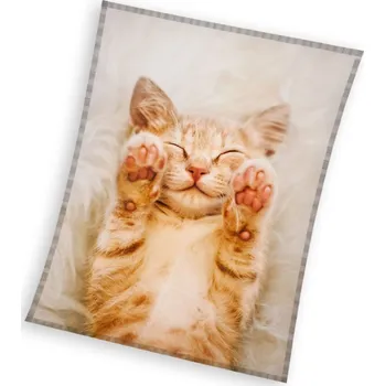 Mikroplyšová deka Rezavé Koťátko 130x170 cm