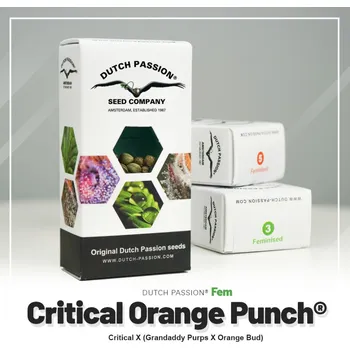 Anabolizér Critical Orange Punch® fem. (balení 5)