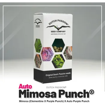 Pěstitelství Auto Mimosa Punch® fem. (balení 7)