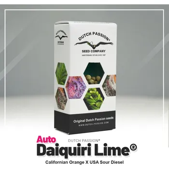 Auto Daiquiri Lime® fem. (balení 3)