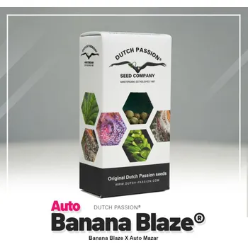 Semeno Auto Banana Blaze® fem. (balení 7)