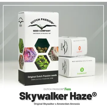 Semeno Skywalker Haze® fem. (balení 5)