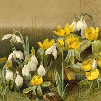 Papírový ubrousek Sköna Ting, Švédsko Sköna Ting - Papírový ubrousek Winter Aconite & Snowdrops 20 ks - 33 x 33 cm Velikost: 33x33