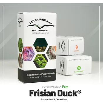 Semeno Frisian Duck® fem. (balení 5)