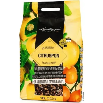 Zahrada LECHUZA CITRUSPON 12l