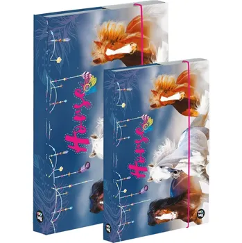 Box na sešity A4+A5 KARTON P+P - Kůň