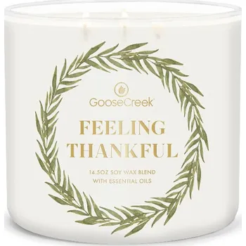 Svíčka Svíčka 0,41 KG FEELING THANKFUL, aromatická v dóze, 3 knoty|Goose Creek