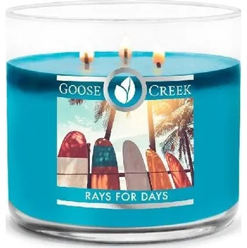 Svíčka Svíčka 0,41 KG RAYS FOR DAYS, aromatická v dóze, 3 knoty|Goose Creek