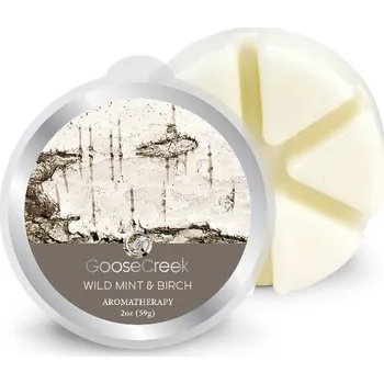 vonný vosk Vosk WILD MINT & BIRCH, 59g , do aroma lampy|Goose Creek