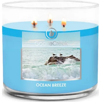 Svíčka Svíčka 0,41 KG OCEAN BREEZE, aromatická v dóze, 3 knoty|Goose Creek