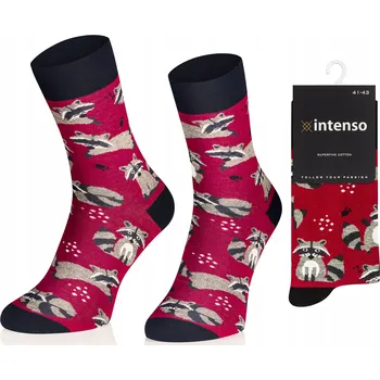 Pánské ponožky Intenso 0549_027 vícebarevné velikost 41-43