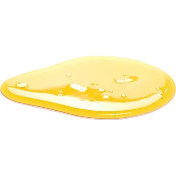 Sladidlo Rýžový sirup jasný BIO 5 kg LES FRUITS DU PARADIS