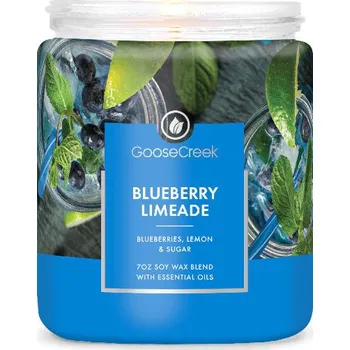 Svíčka Svíčka s 1-knotem 0,2 KG BLUEBERRY LIMEADE, aromatická v dóze KP|Goose Creek