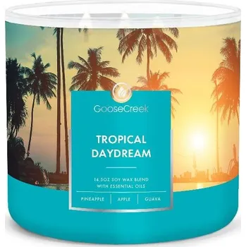 Svíčka Svíčka 0,41 KG TROPICAL DAYDREAM, aromatická v dóze, 3 knoty|Goose Creek