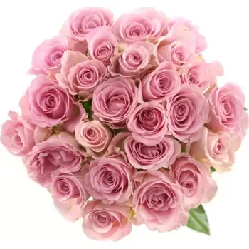 umělá květina Kytice 25 růžových růží BABYFACE 50cm