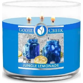 Svíčka Svíčka 0,41 KG JUNGLE LEMONADE, aromatická v dóze, 3 knoty|Goose Creek
