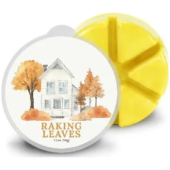 vonný vosk Vosk RAKING LEAVES, 59g , do aroma lampy|Goose Creek