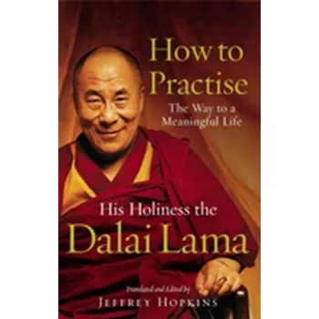 How To Practise - Dalai Lama [EN] (2003, Taschenbuch, Random House UK Ltd)