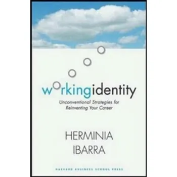 Working Identity - Ibarra, Herminia [EN] (2003, Brožovaná, Conta Gromberg Communication)
