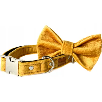 Obojek pro psa Obojek pro velkého psa s motýlkem, sada obojek s motýlkem - Žlutý, L