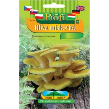 Semeno Nohel Garden Hlíva miskovitá sadba 8673ee