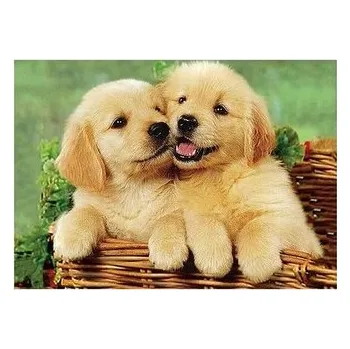 Set školních potřeb Mozaika diamentowa 5D - Psy 40x30cm