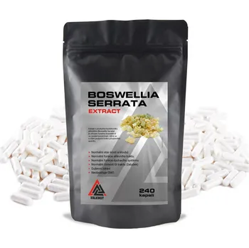 Kloubní výživa Boswellia Serrata Extract VALKNUT 240 kapslí