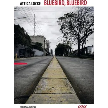 Bluebird, Bluebird - Locke, Attica [DE] (2019, Vázaná, Polar Verlag GmbH)