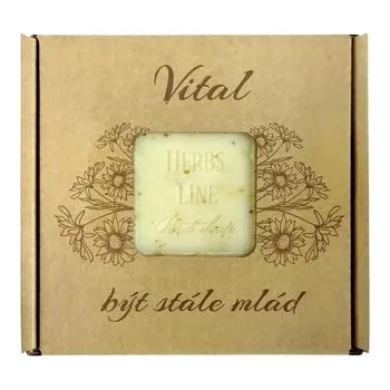 Mýdlo Přírodní mýdlo K-natur 100g VITAL