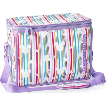 Pikniková taška Disney