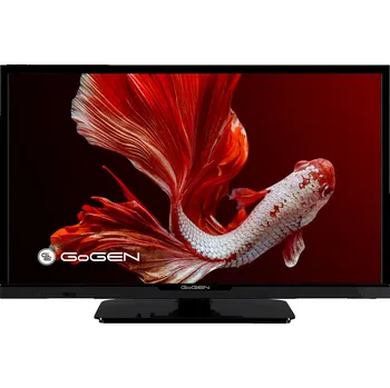 Televizor LED Televize GoGEN TVH 24P352T 24" HD Ready černá