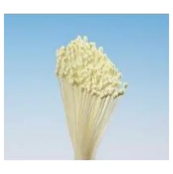 umělá květina Pestíky žluté svazek - Hamilworth