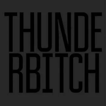 Zahraniční hudba LP Thunderbitch: Thunderbitch 2016 Gatefold Vinyl