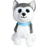 Hafíci II. Maxík - Husky