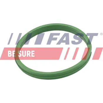 Těsnění motoru Těsnicí kroužek, hadice plnicího vzduchu FAST FT49855