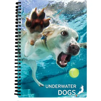 PRIME 3D SEŠIT A5 - Daisy