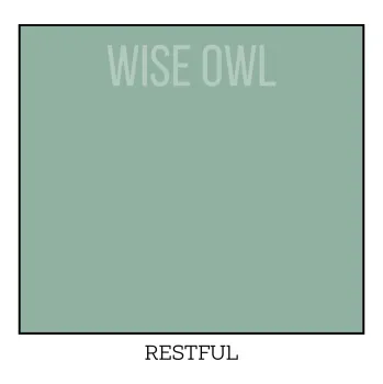 univerzální barva RESTFUL One Hour Enamel - Wise Owl Paint - barvy pro kuchyně, dveře, obložení