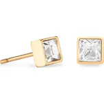 Náušnice s puzetou COEUR DE LION 0501/21-1816