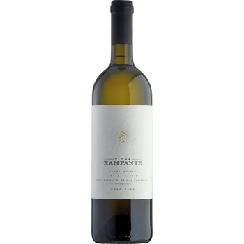 Víno Vigna Rampante Pinot Grigio Delle Venezie DOC 2021 Paso Fino 13% 0,75l